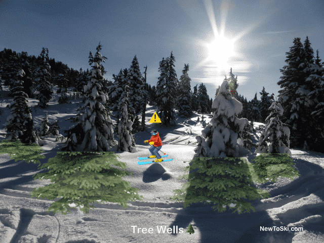 tree well