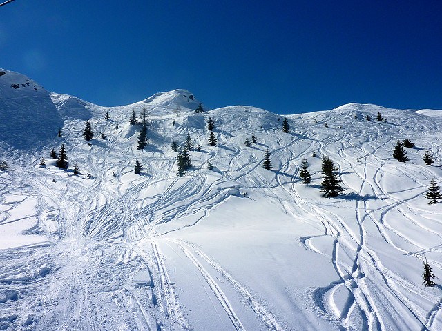 bluebird ski days