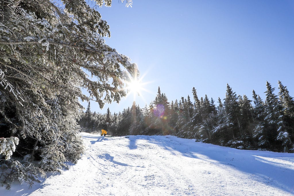 Bluebird day