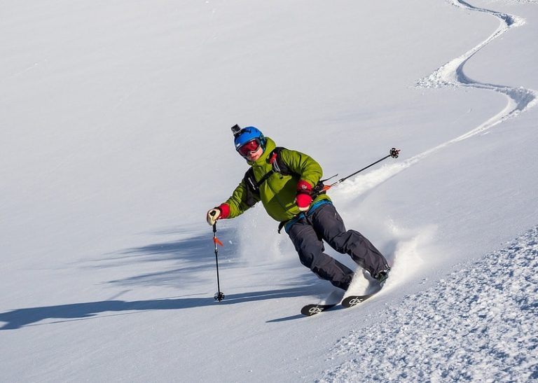 ski poles