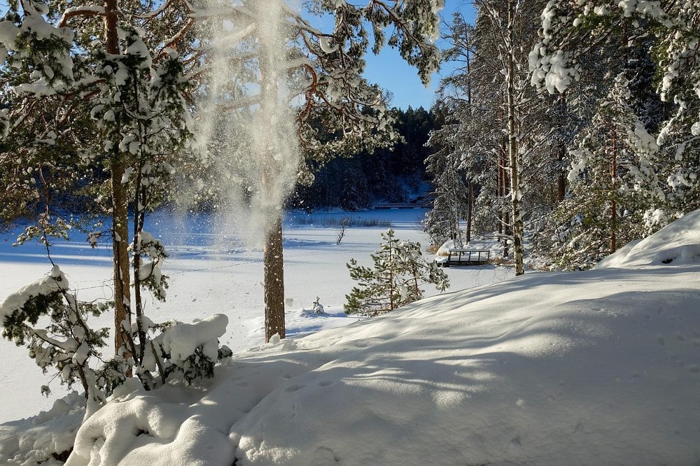 snow fall