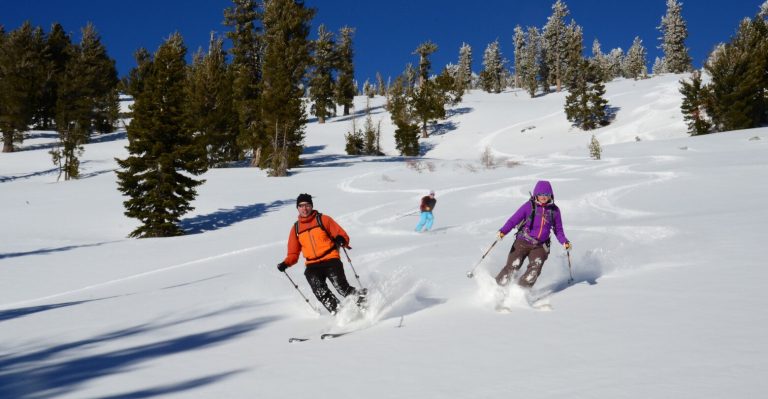 family skier