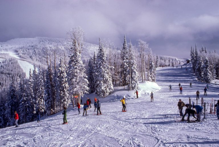 family skiing