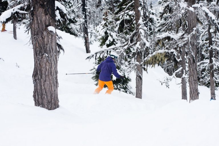 skier forest