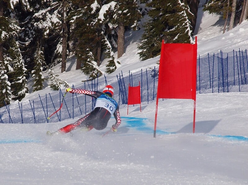 skier