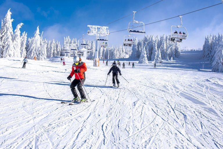 Enjoy Skiing