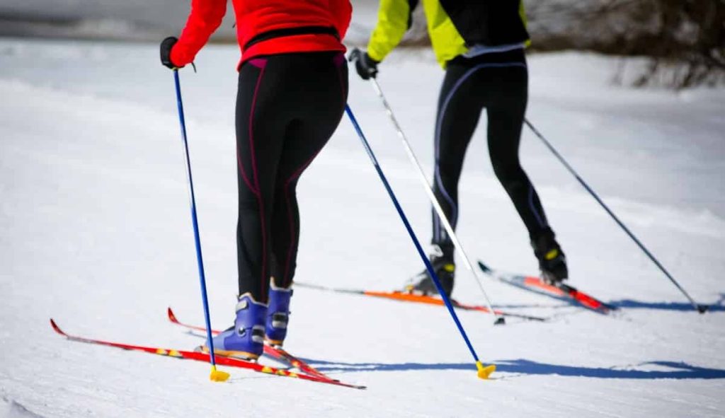 Ski Pole Length