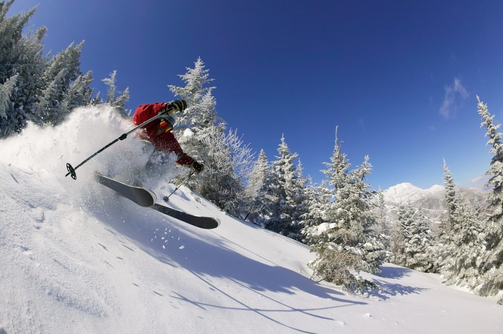 Expert Skier