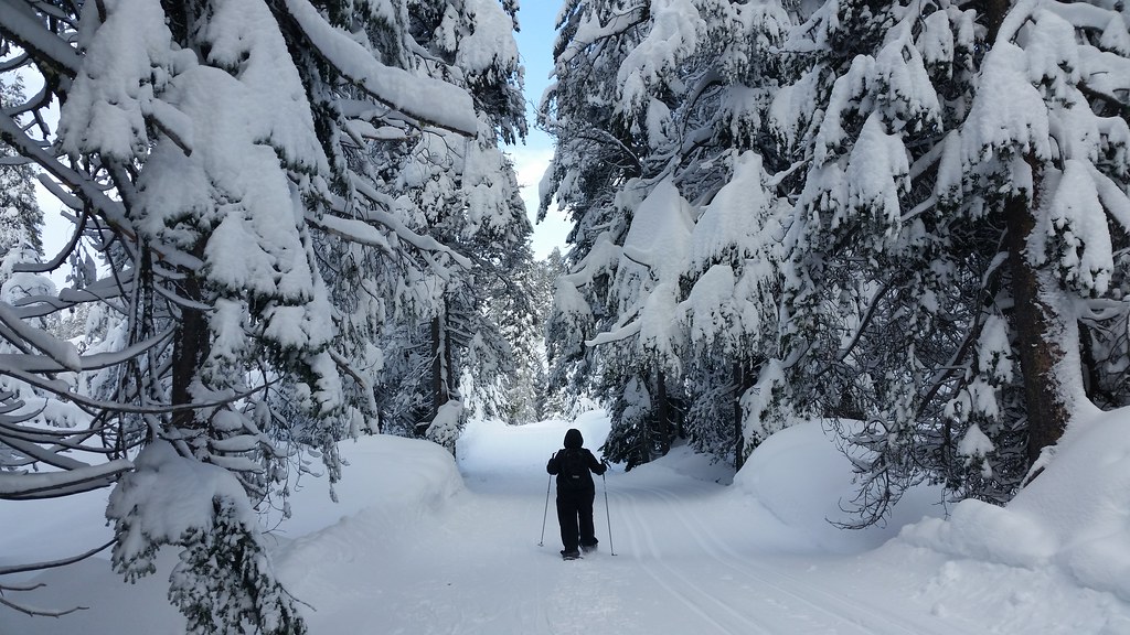 Bear Valley