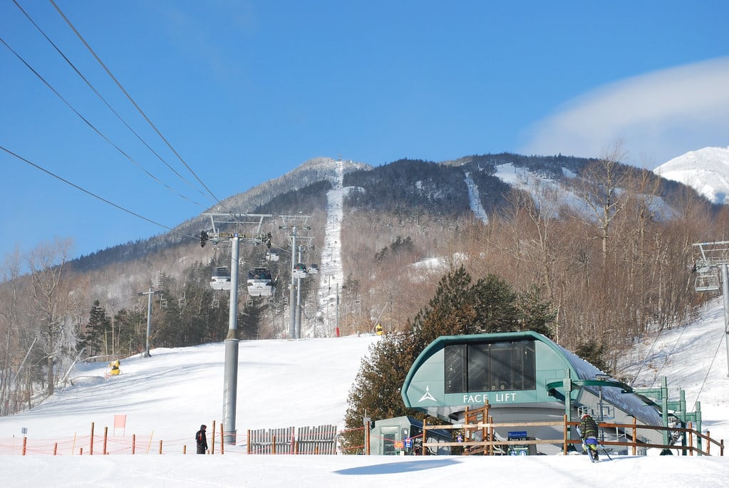 Whiteface