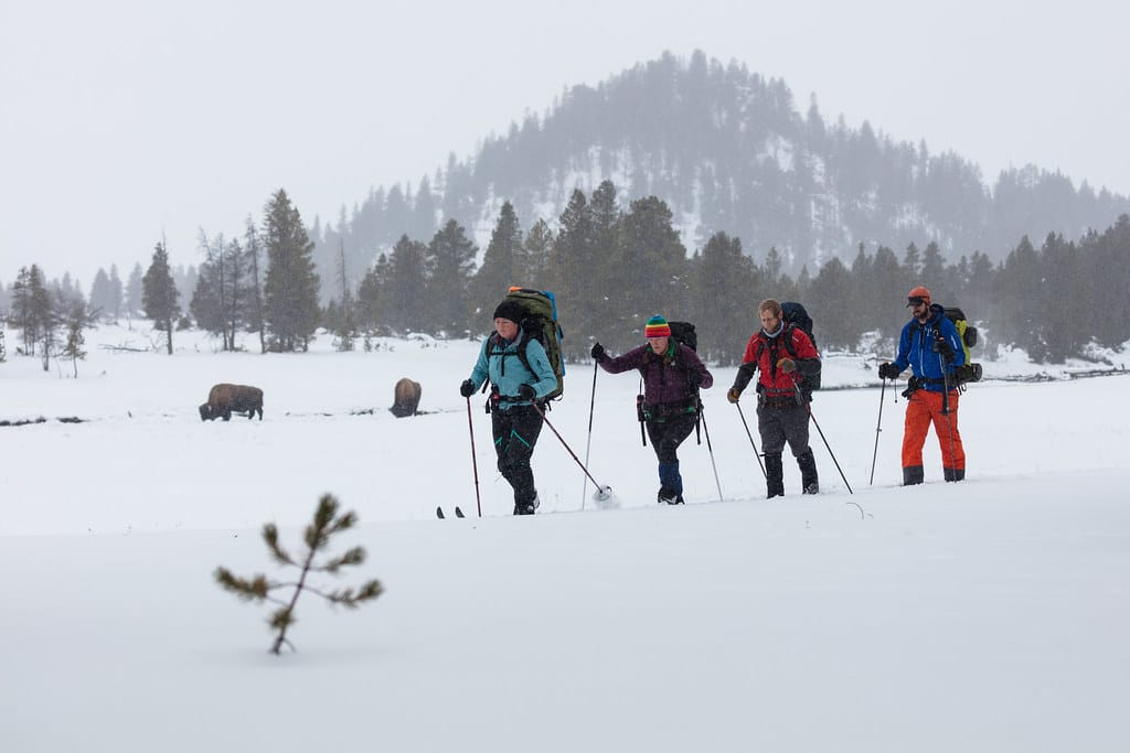 Backcountry campers