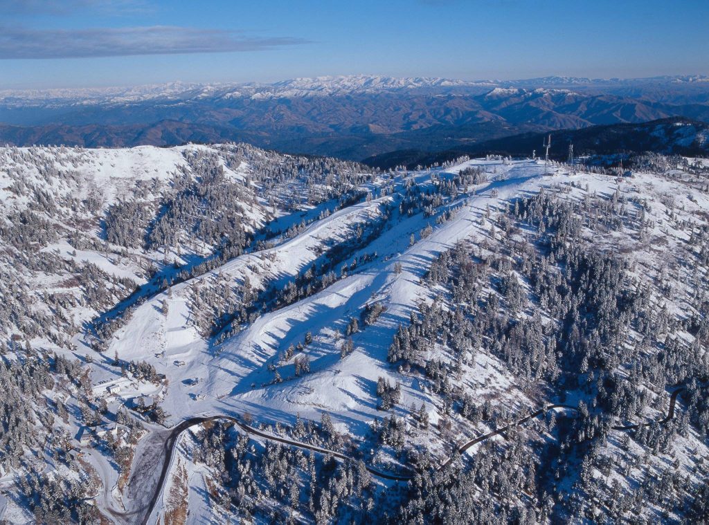 bogusbasin