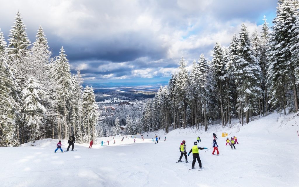Ski Resort 2