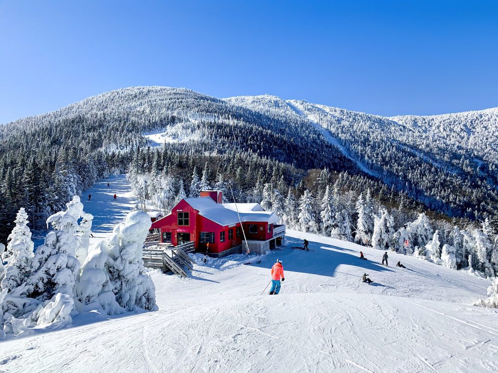 sugarbush