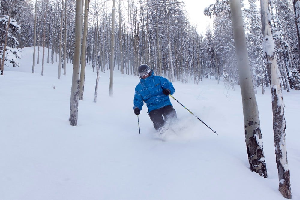 Beaver skiing