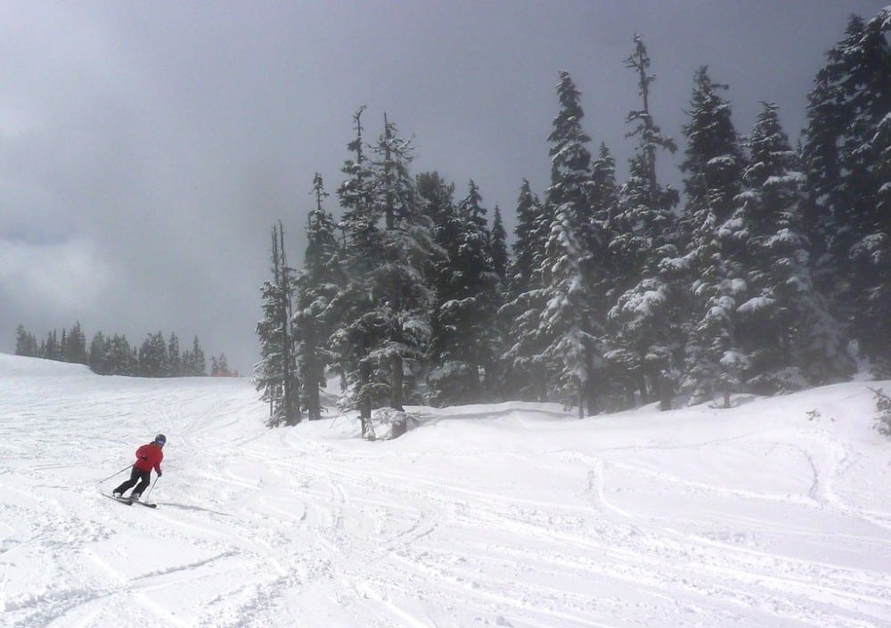 Spring ski