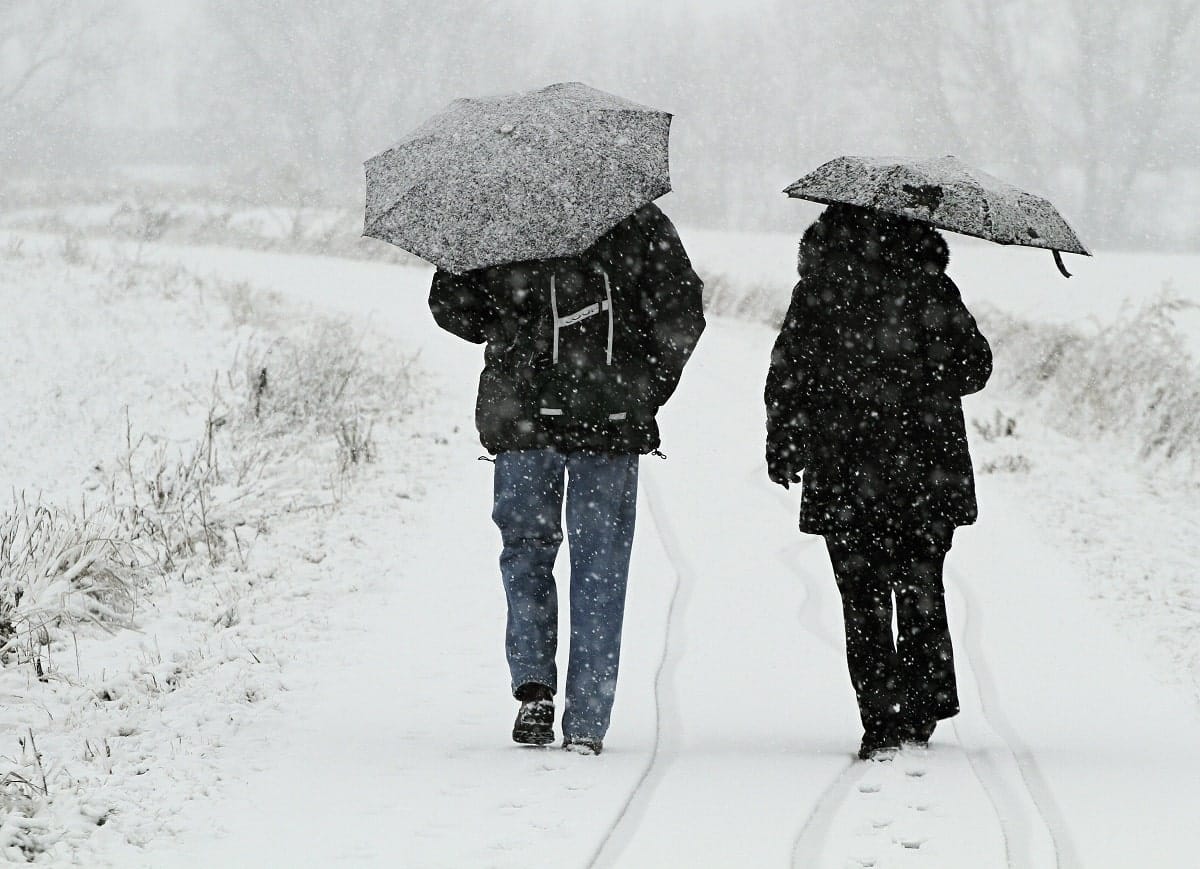 Winter