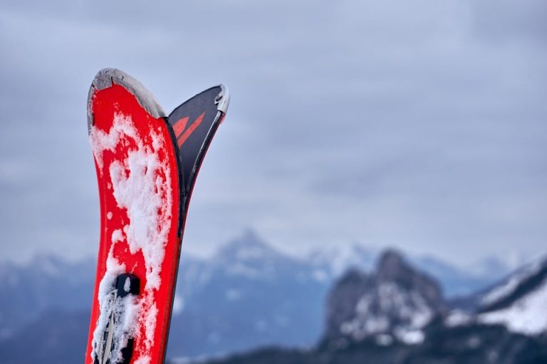 ski