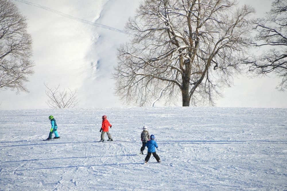 5 6 Year Olds kids skiing