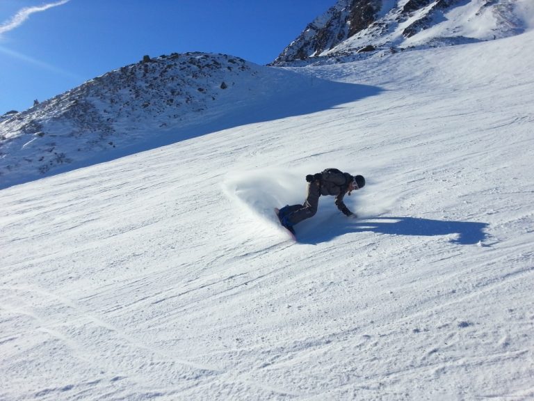Bluebird Sky