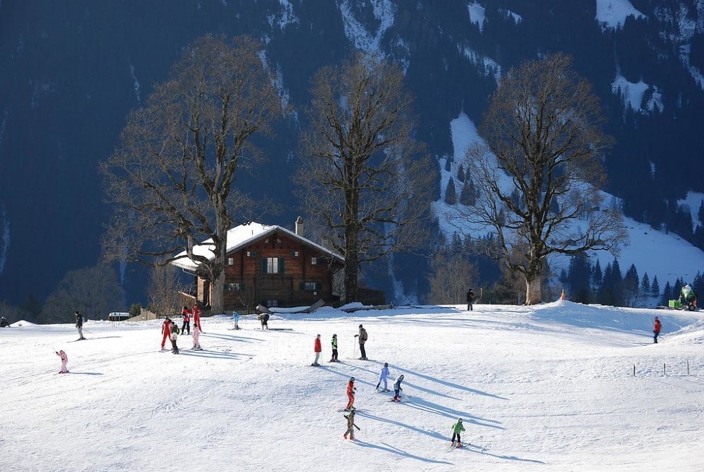 Bodmi Ski School Area