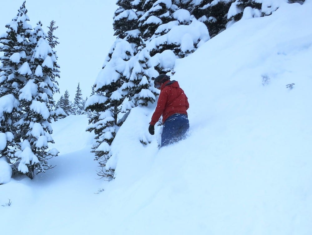 Thigh deep in powder