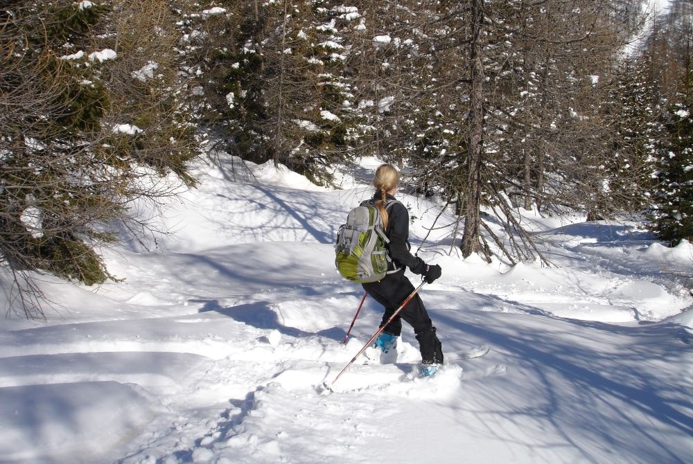 backcountry skiing