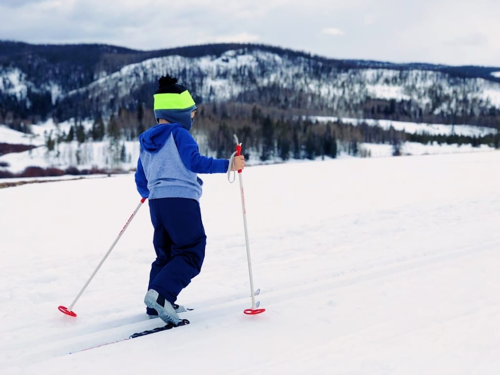 kid ski poles