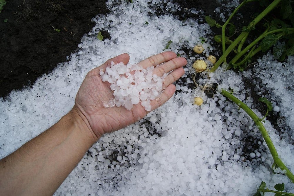 Hail Snow
