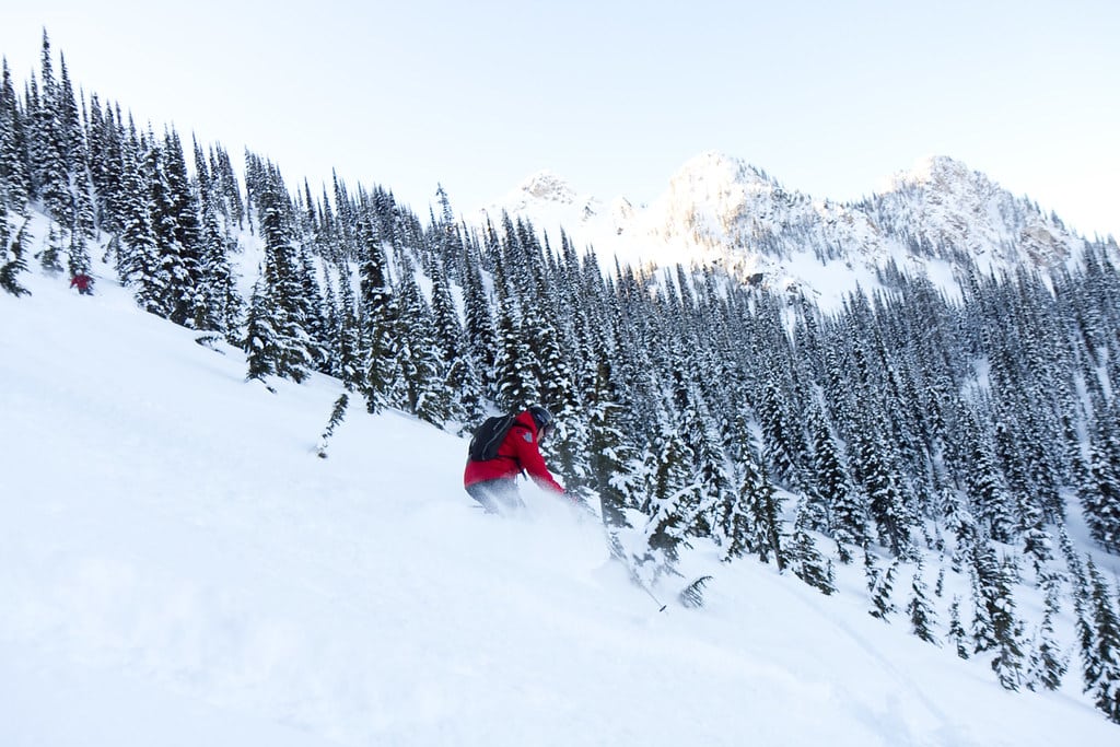 red jacket cat ski