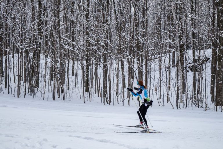 skiing cross country