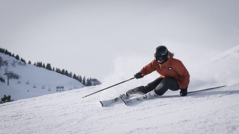 Morgins