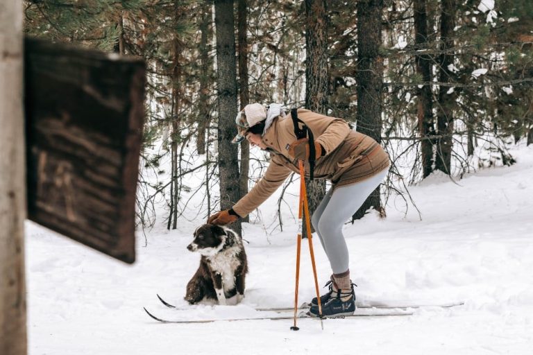 ski with dog 2