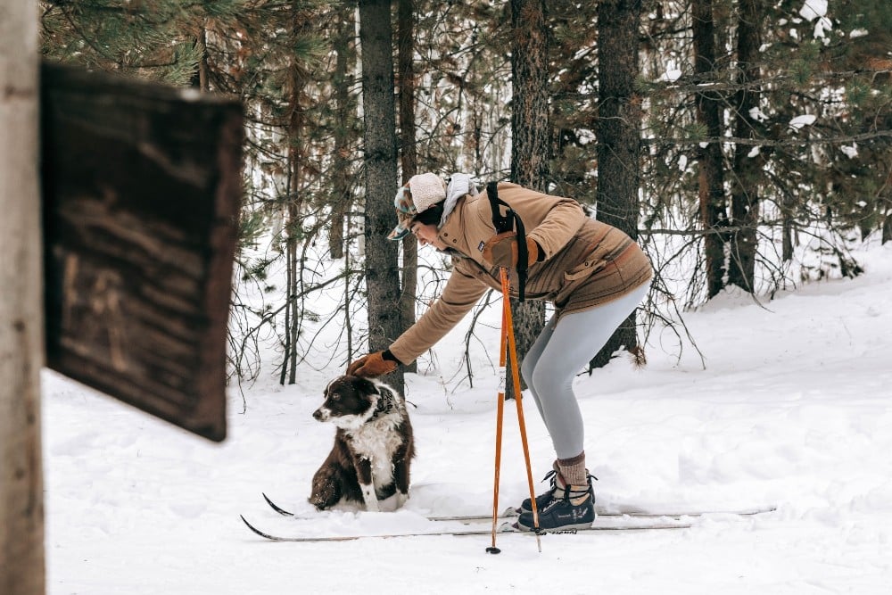 ski with dog 2
