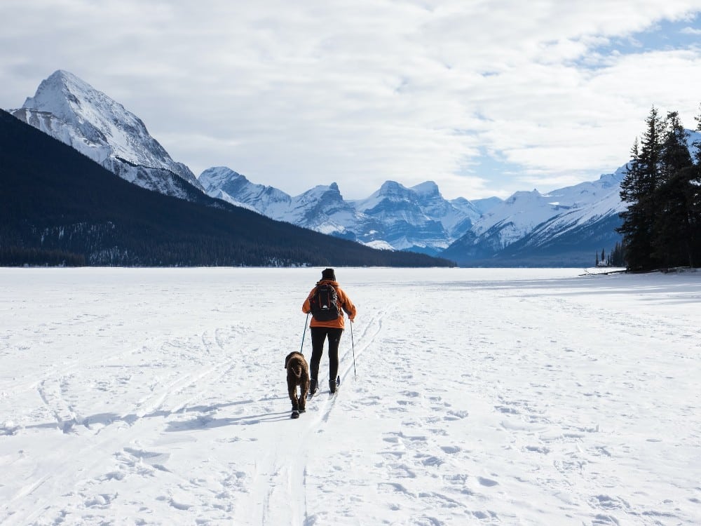 ski with dog 3