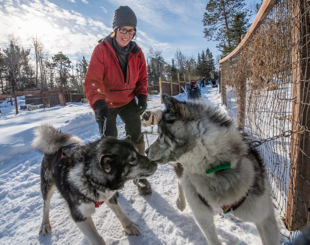 ski with dog 5