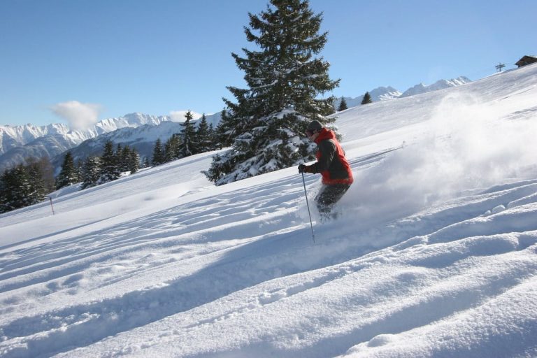 Alps’05