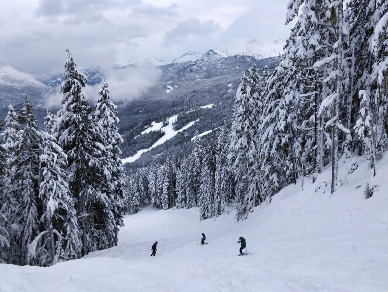 9 Best Skis for Beginners in 2023 (From Powder to Groomed Slopes)